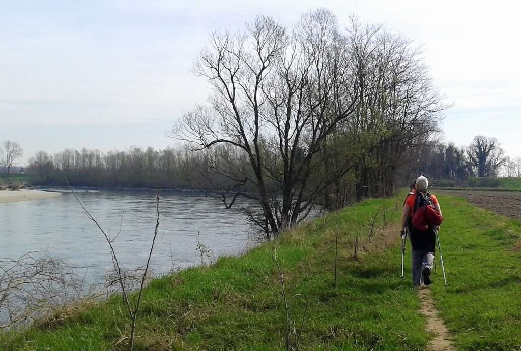 Sentiero Via Francigena