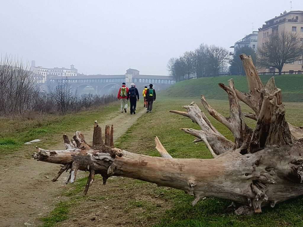 Via Francigena Pavia