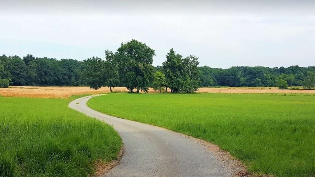 VFS – IT08 – Viverone – Santhià