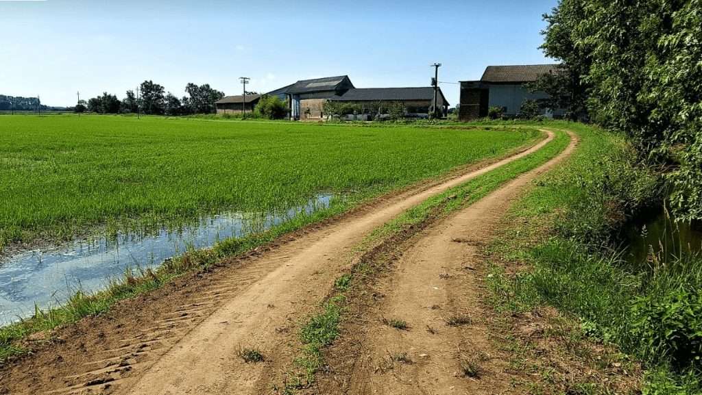 Tappa della Via Francigena Mortara - Garlasco,