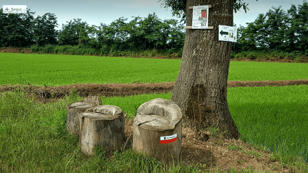 foto della tappa vercelli robbio